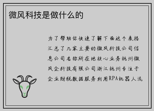 微风科技是做什么的