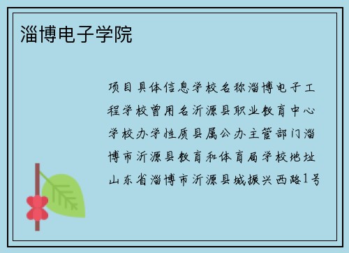 淄博电子学院